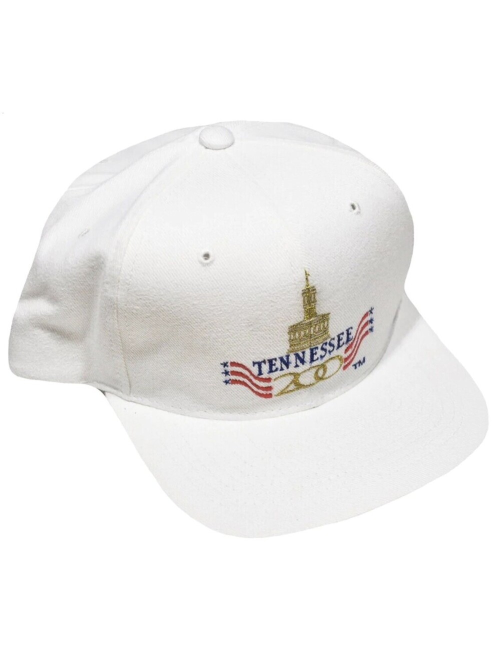 Vintage Tennessee Capital 90s White Political Snapback